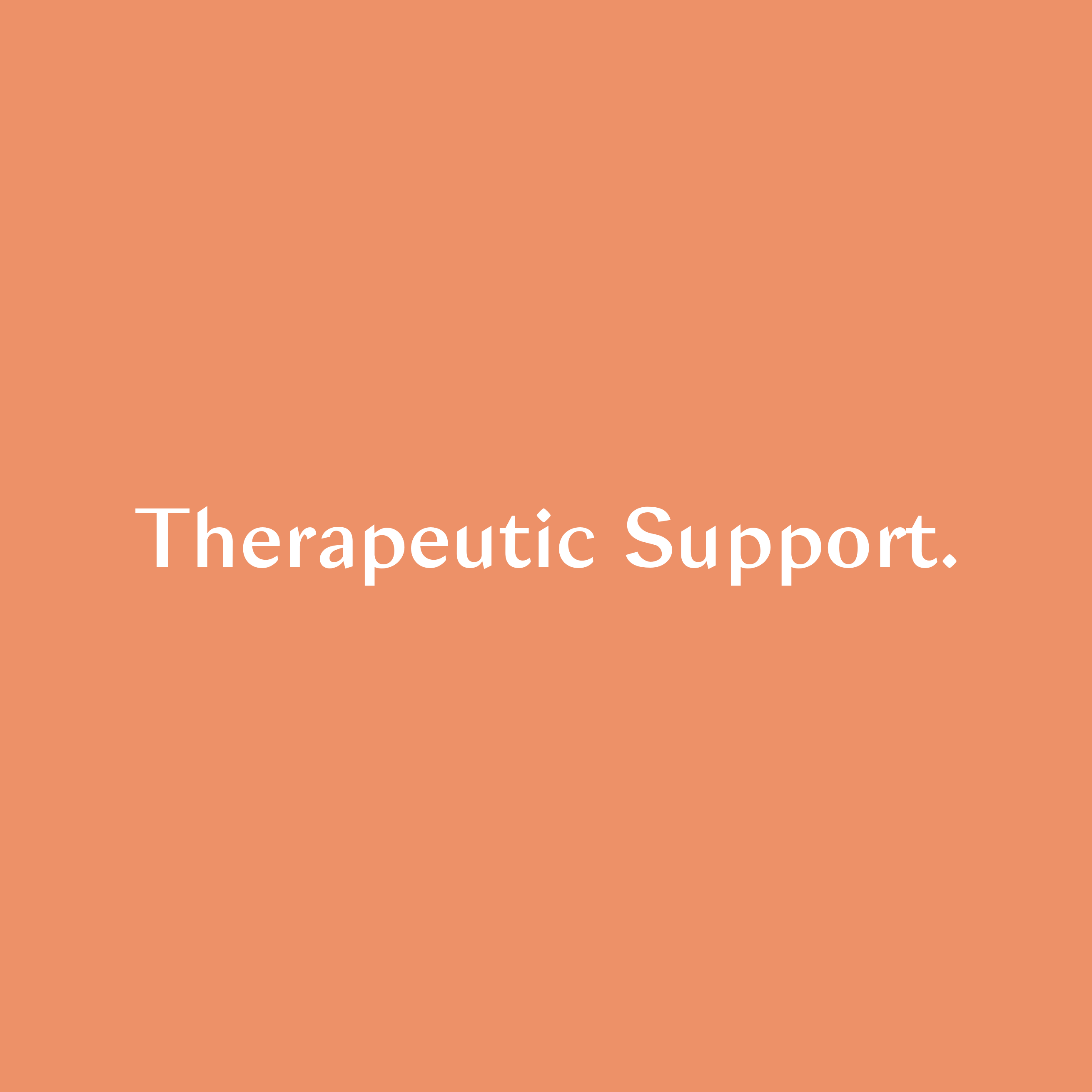 Therapeutic Support